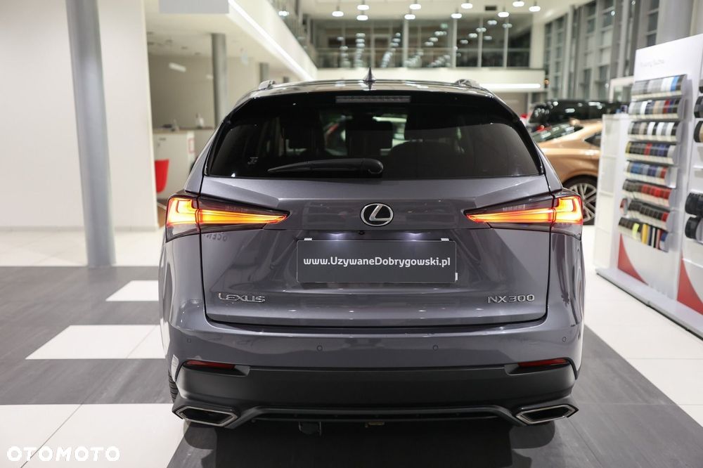 Lexus NX - 6