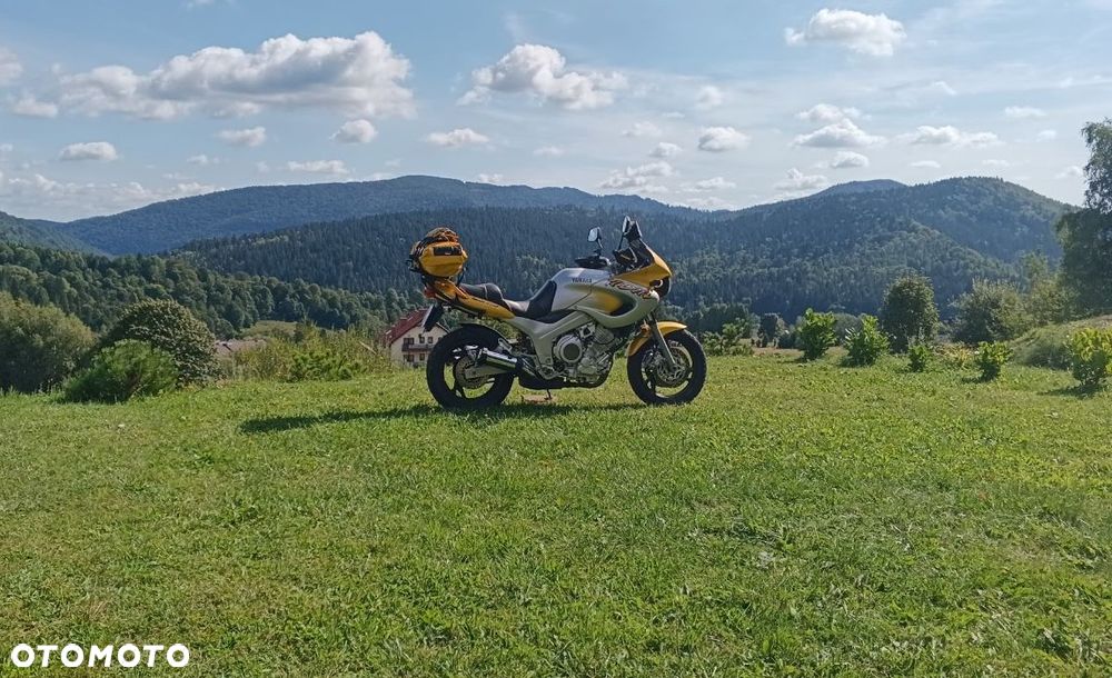 Yamaha TDM - 1