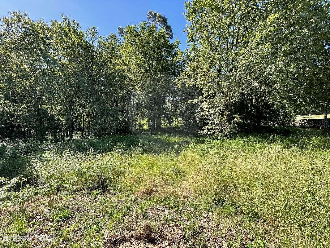 Terreno  para venda - Grande imagem: 2/8