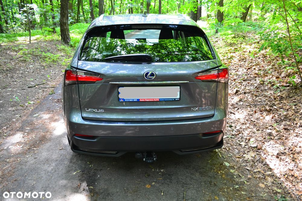 Lexus NX 300h - 4