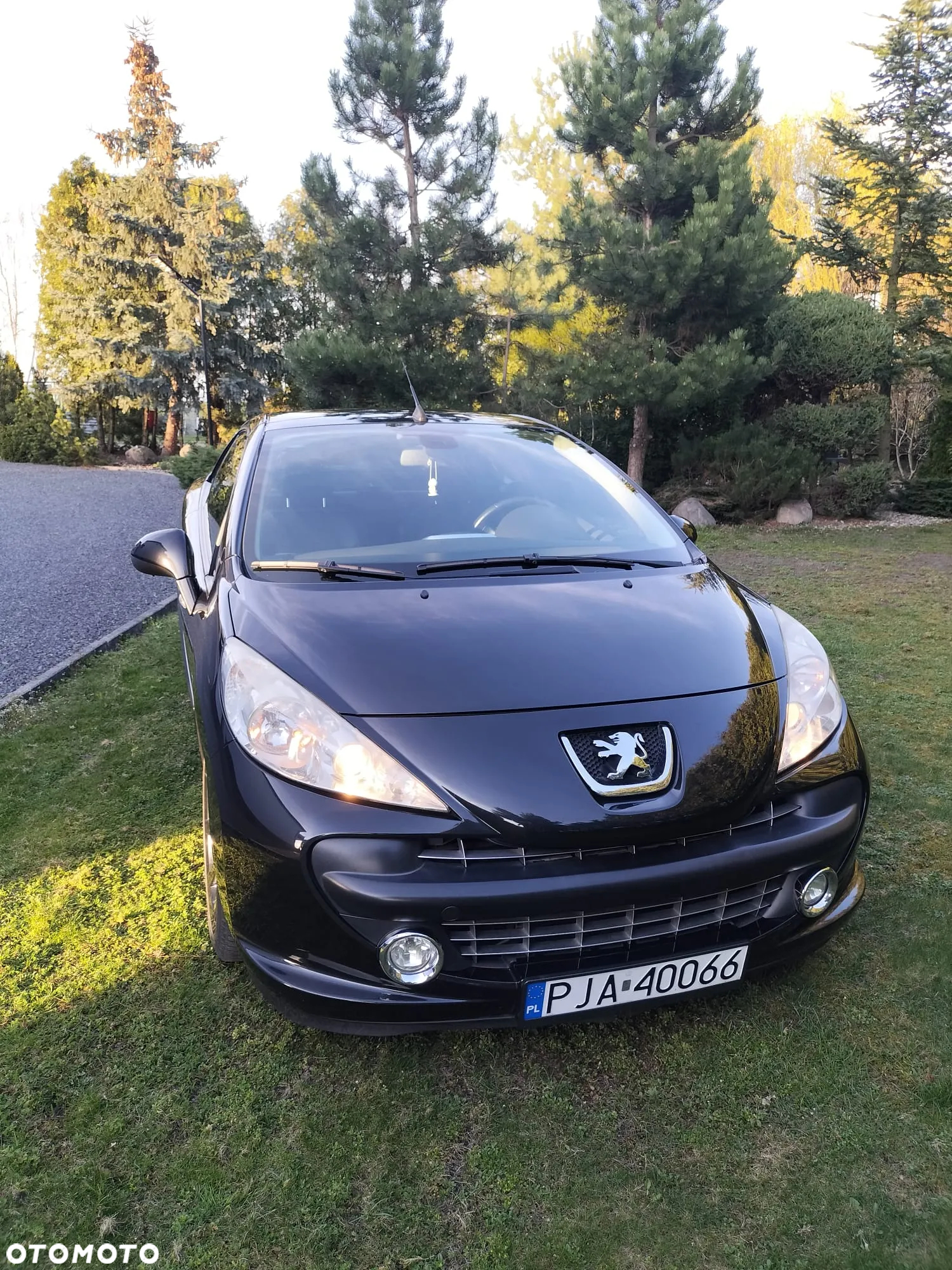 Peugeot 207 CC FAP 110 (Blue Lion) Roland Garros - 2
