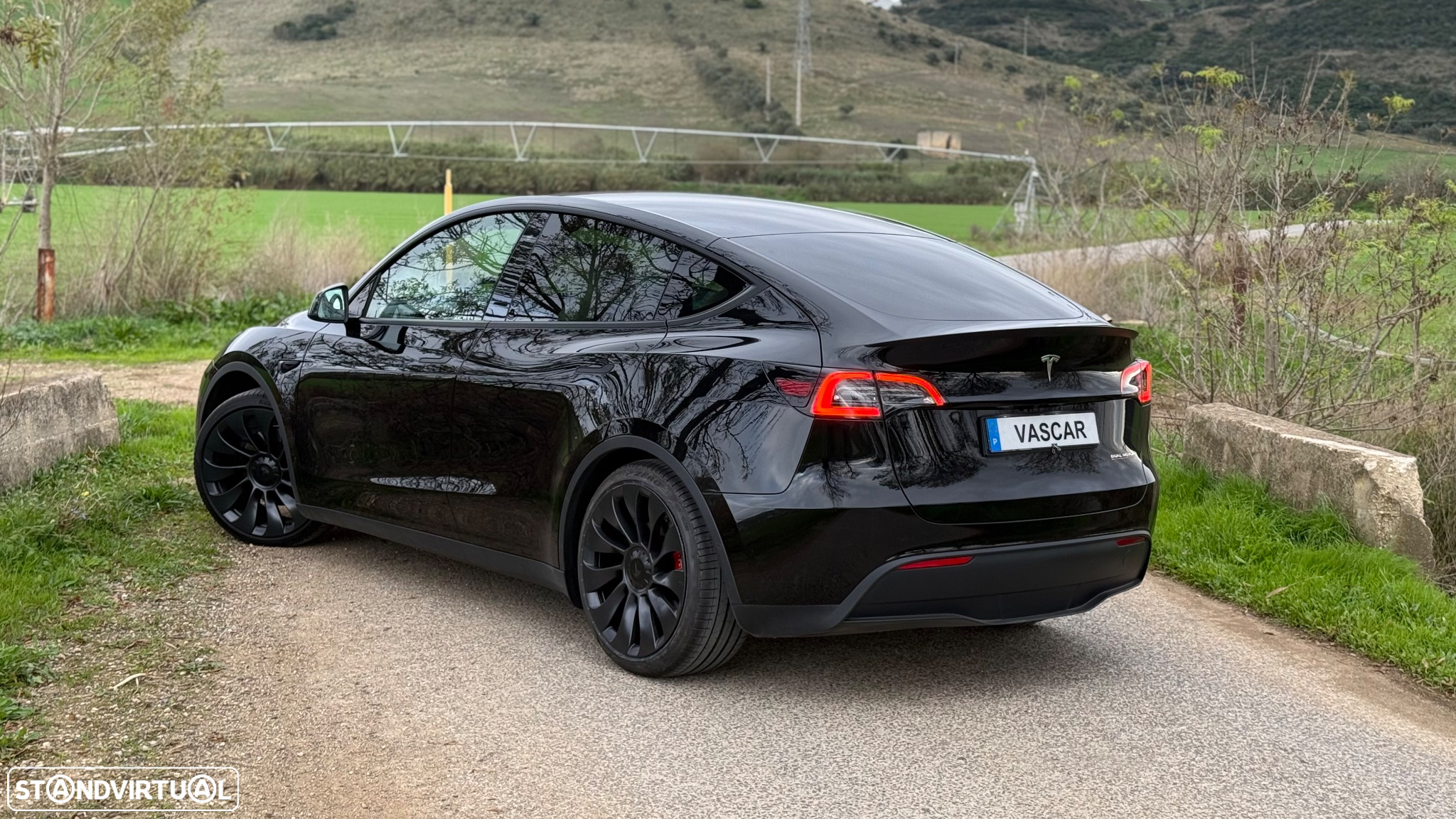 Tesla Model Y - 4