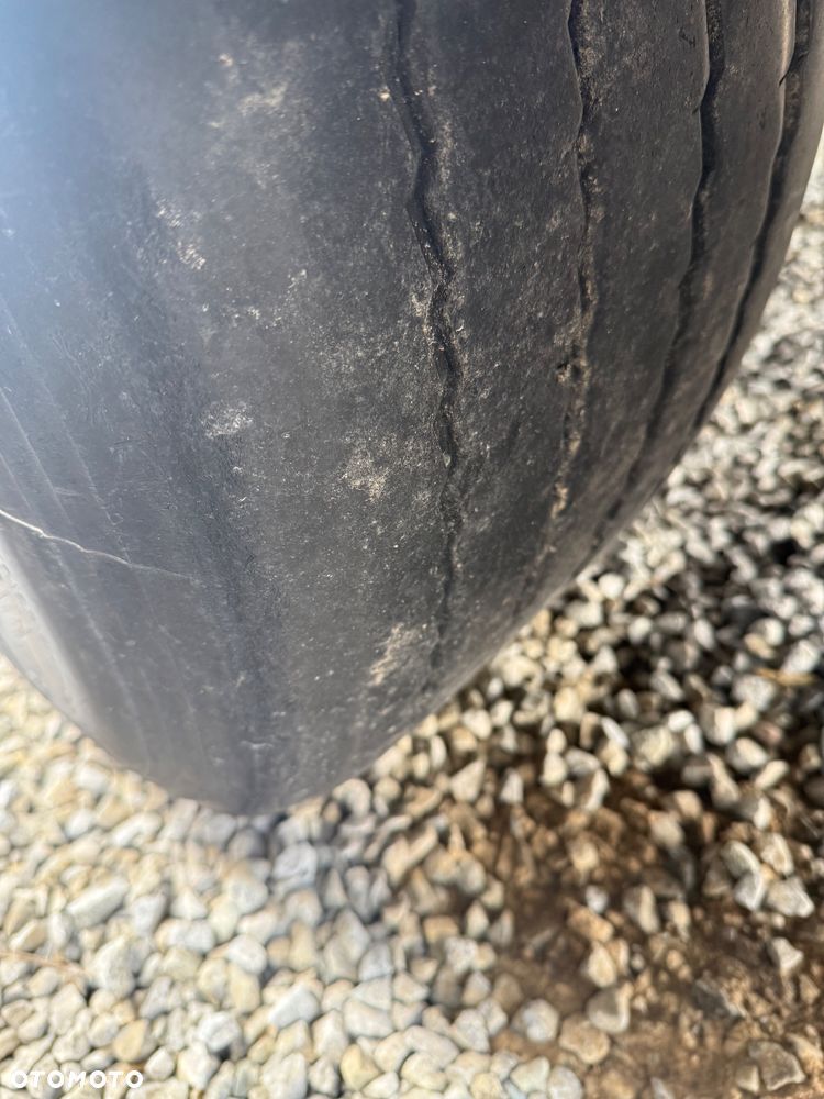 Feber Inter Cars - 9