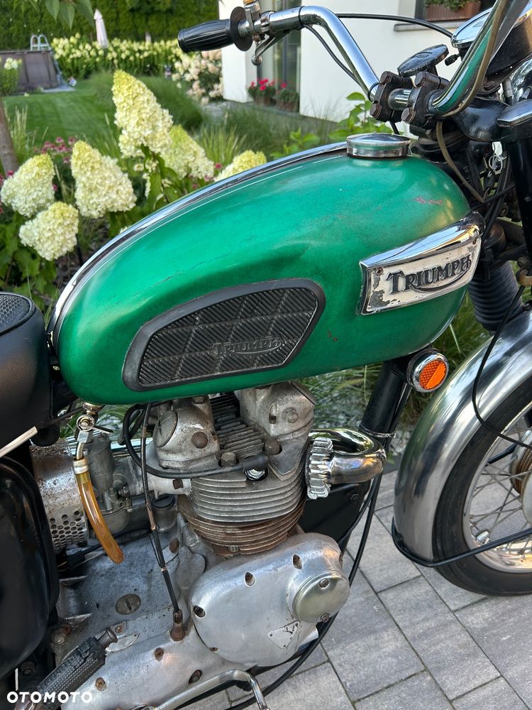 Triumph Trophy - 8
