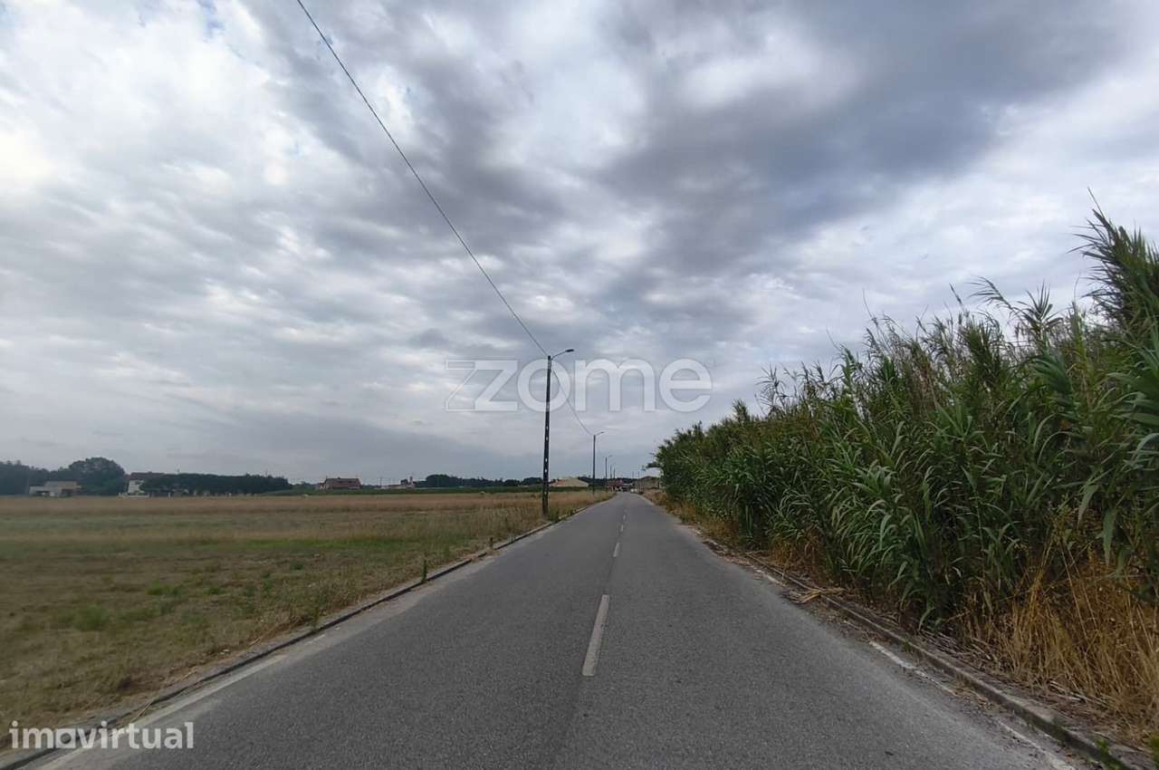Terreno Urbano com 2.500 m² em Lombomeão – Vagos - Grande imagem: 3/8