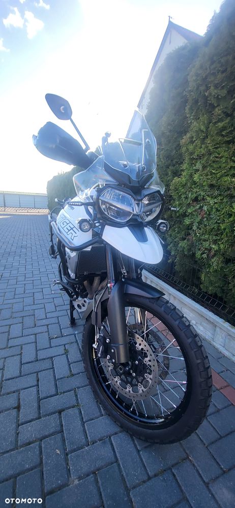 Triumph Tiger - 1