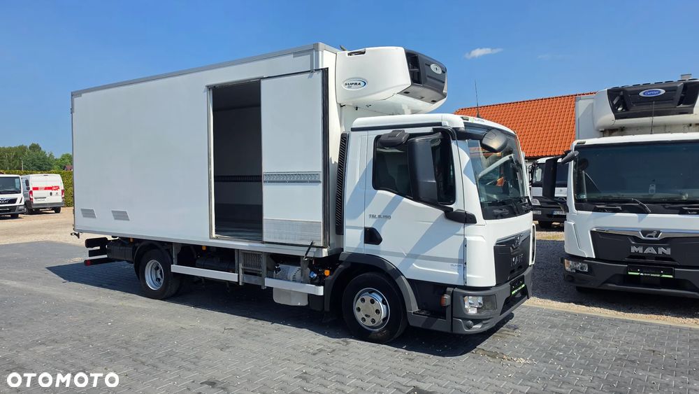 MAN TGL 8.190 Chłodnia 520cm Carrier 850 DMC-8800kg 70C 72C Daily - 3