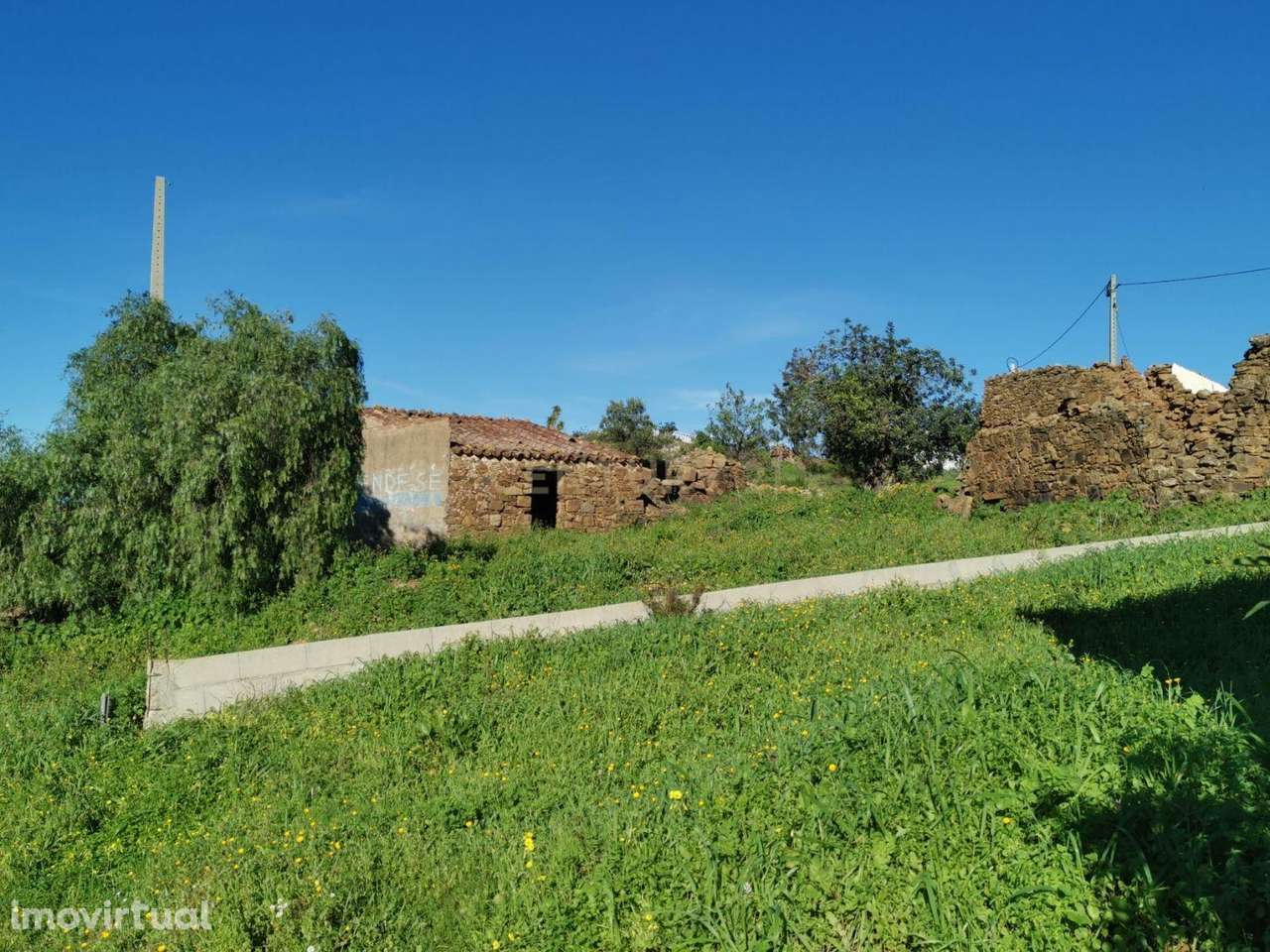 Terreno urbano no Sitio do Vale Rosado - Conceição de Tavira - Grande imagem: 4/7