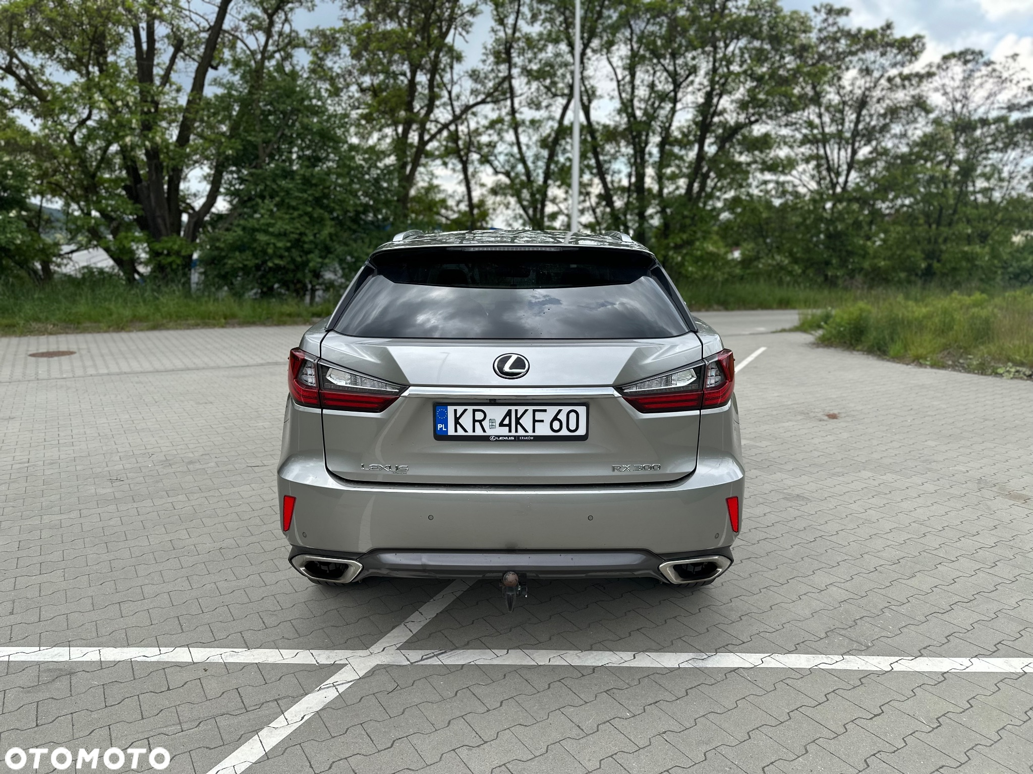 Lexus RX 200t / 300 Elegance - 16