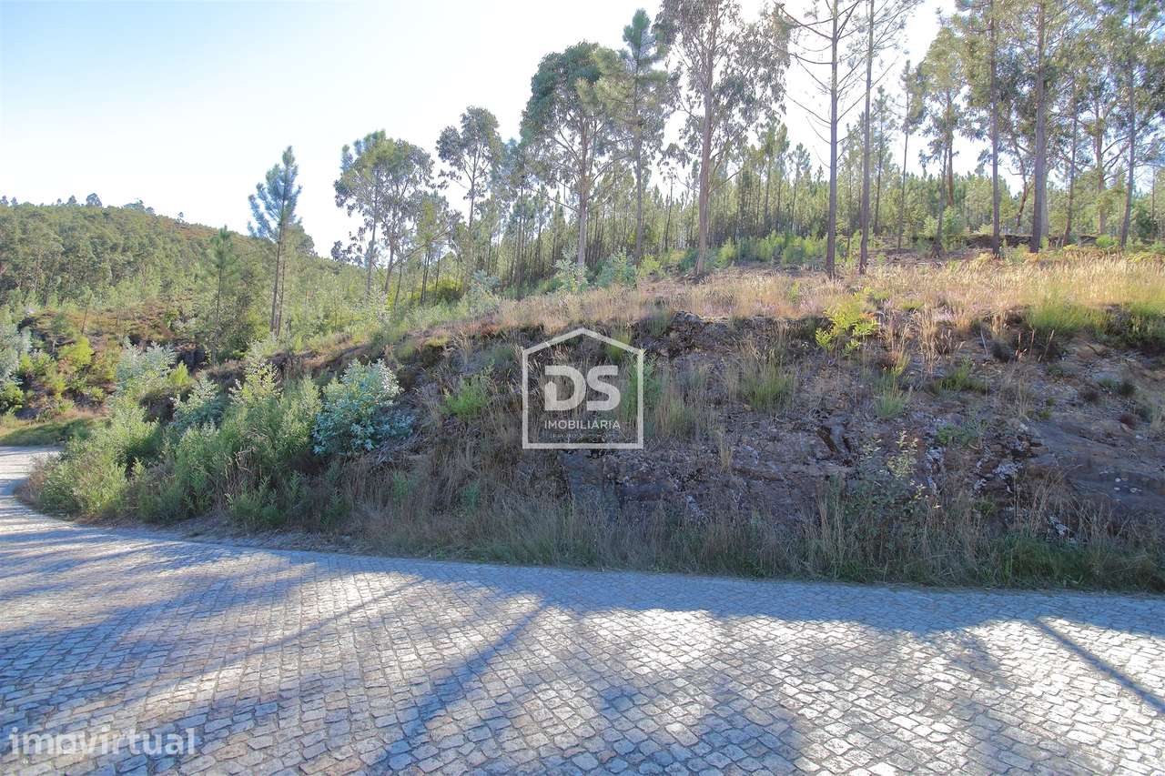 Terreno  Venda em Sobreira,Paredes - Grande imagem: 4/8