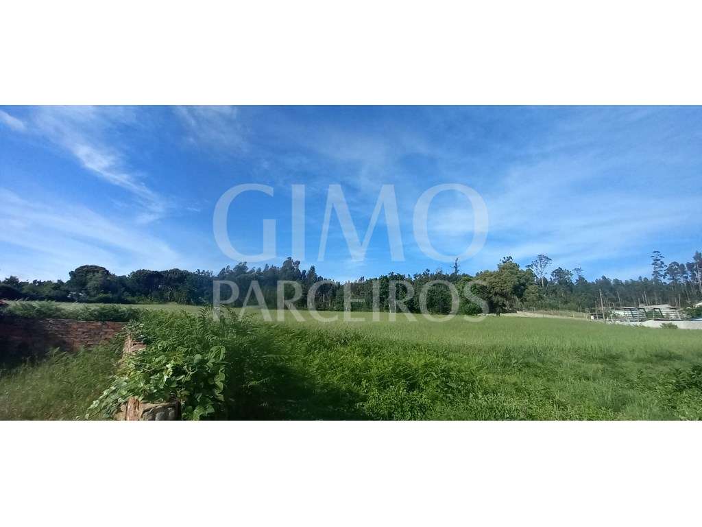 Terrenos para venda perto de Aveiro - Grande imagem: 5/8