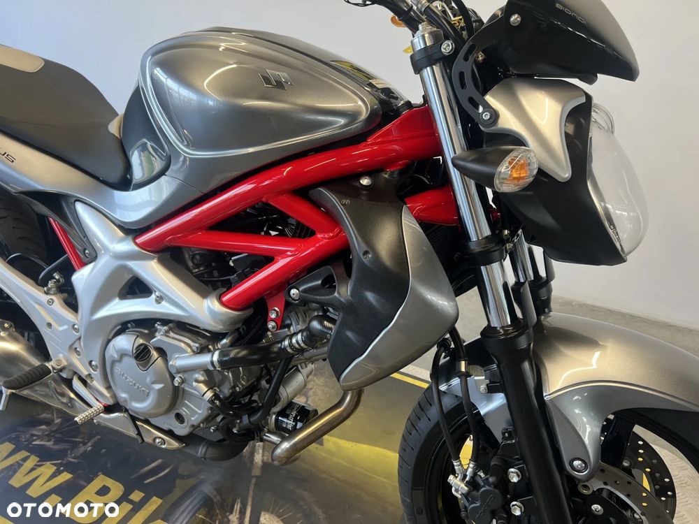 Suzuki Gladius - 22