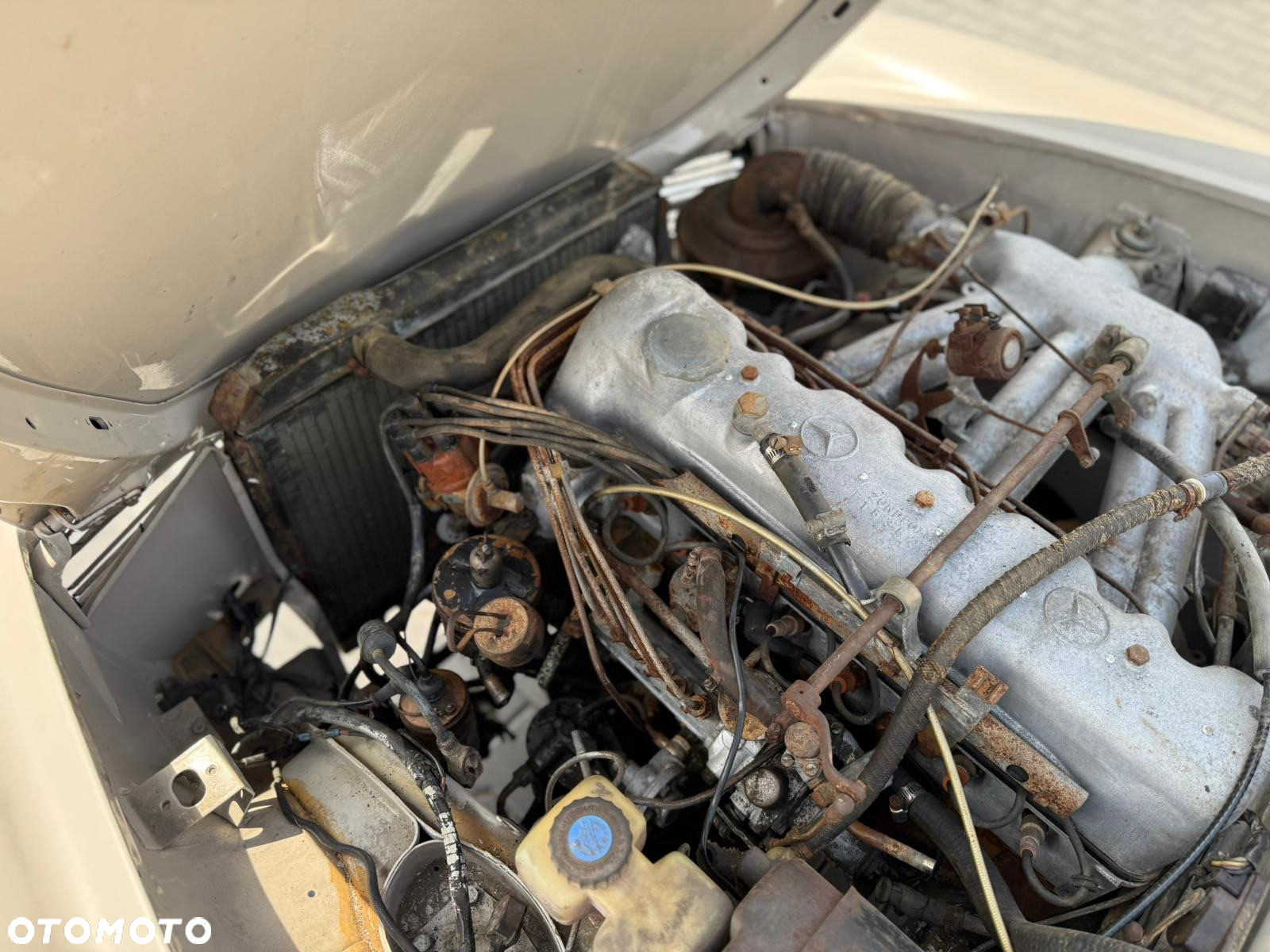Mercedes-Benz Inny - 19