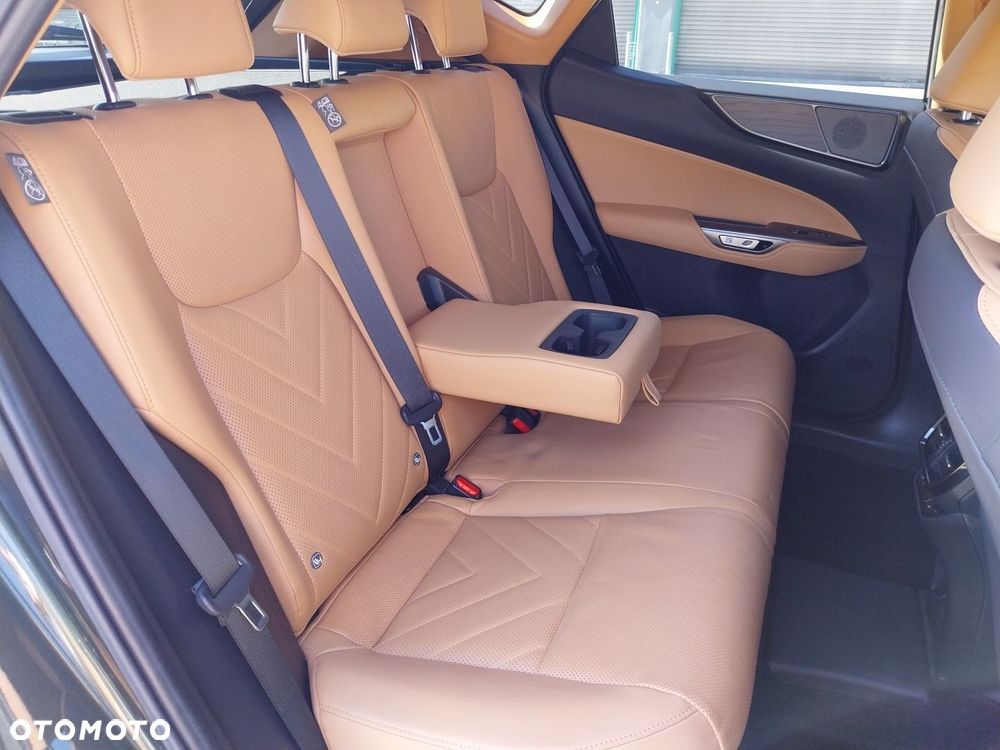 Lexus NX - 13