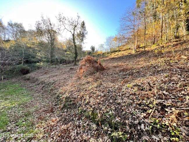 Terreno, 4 980 m², Ponte da Barca, Vila Nova de Muía e Paço Vedro de Magalhães - Grande imagem: 3/7