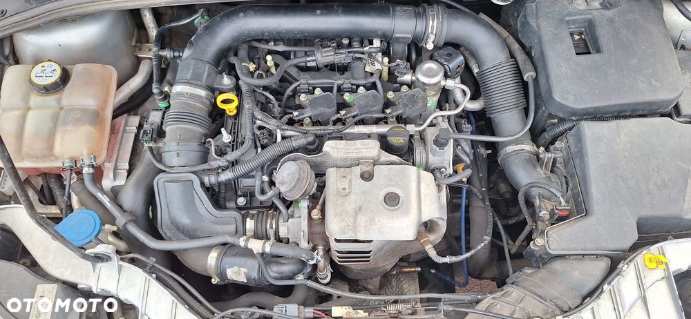 Ford Focus - 7