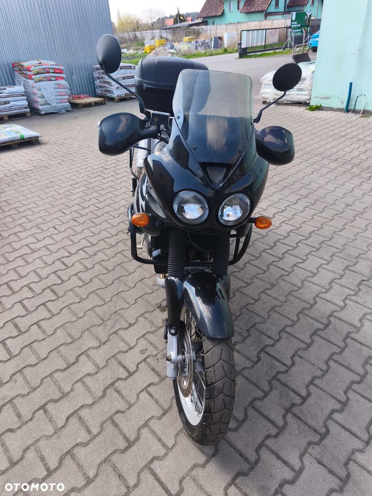 Triumph Tiger - 5