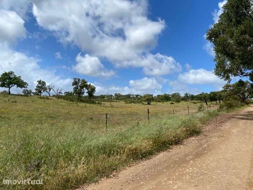 Terreno Rústico 18.1 ha, Cercal do Alentejo, Santiago do Cacem - Grande imagem: 3/60