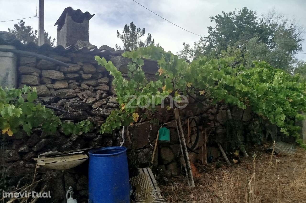 Quinta Única Encostada ao Rio Mondego – Um Refúgio Natural de Sonho... - Grande imagem: 5/42