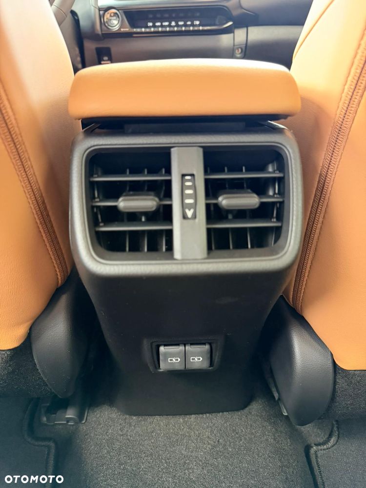Lexus UX 300h F Sport Design - 18