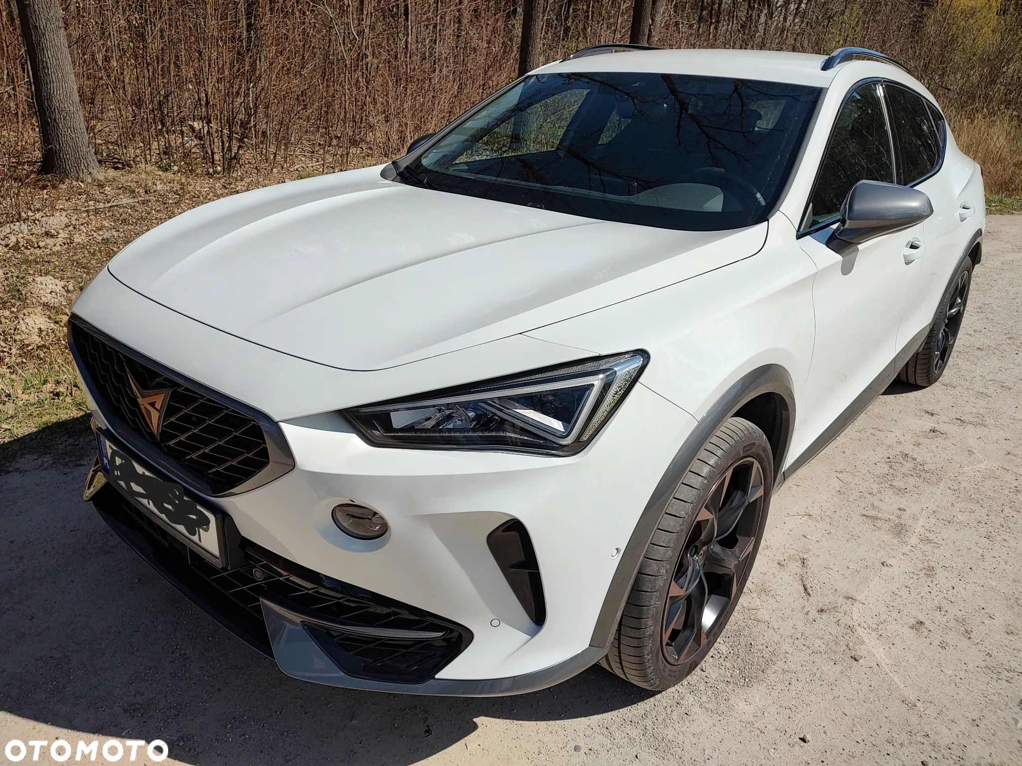 Cupra Formentor 1.5 TSI - 1
