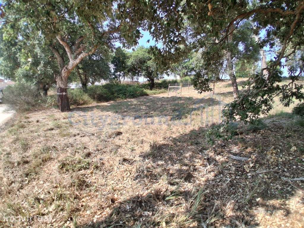 Lote para construção em A-dos-Negros com vista sobre o campo - Grande imagem: 4/10