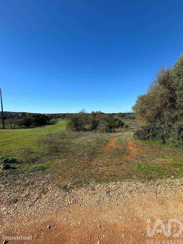 Terreno Agrícola em Paderne - Grande imagem: 4/4
