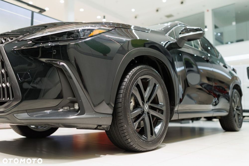 Lexus NX - 15