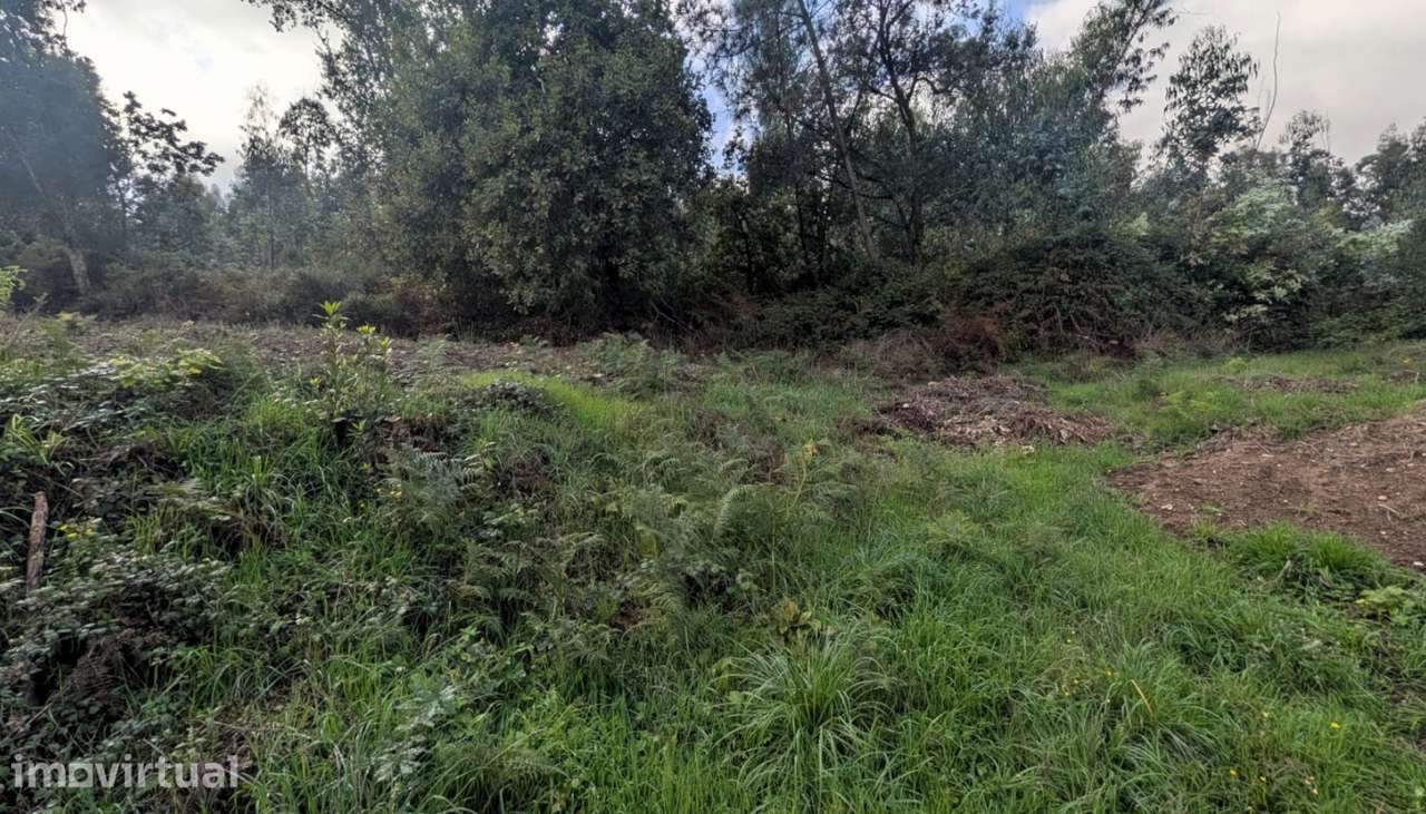 Terreno com 34.700m2 localizado em Fornelo, Vila do Conde - Grande imagem: 2/8