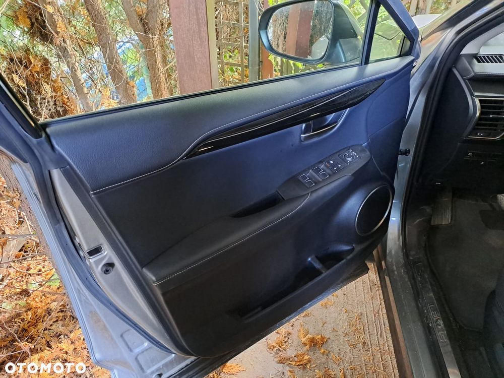 Lexus Nx 2019 photo 4