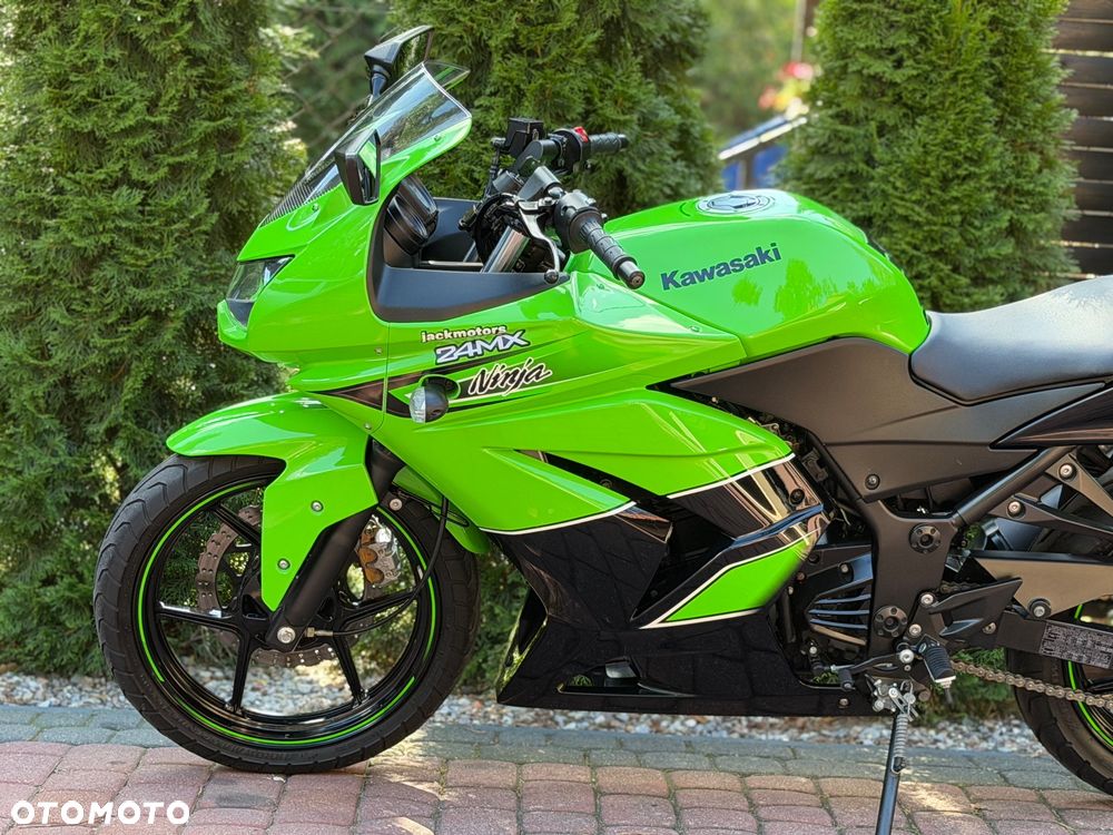 Kawasaki Ninja - 19