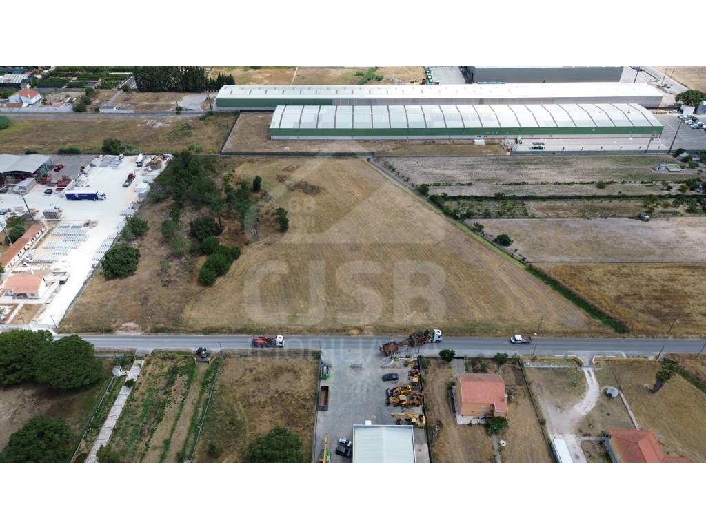 Terreno Industrial em Benavente - Grande imagem: 3/13