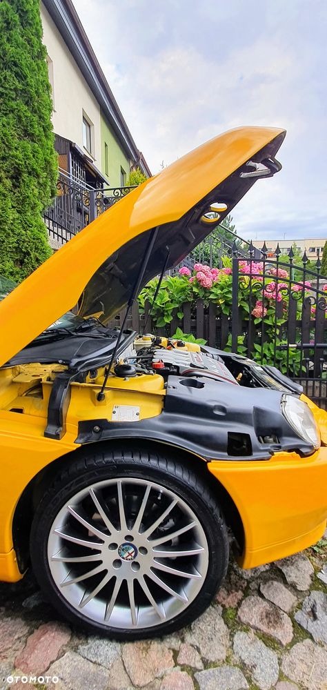 Alfa Romeo Spider - 21