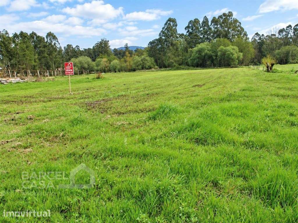 Terreno agrícola em Lijó - Barcelos - Grande imagem: 4/9