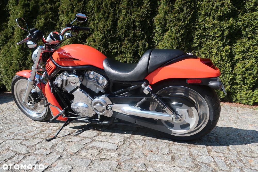 Harley-Davidson V-Rod Night Rod - 6