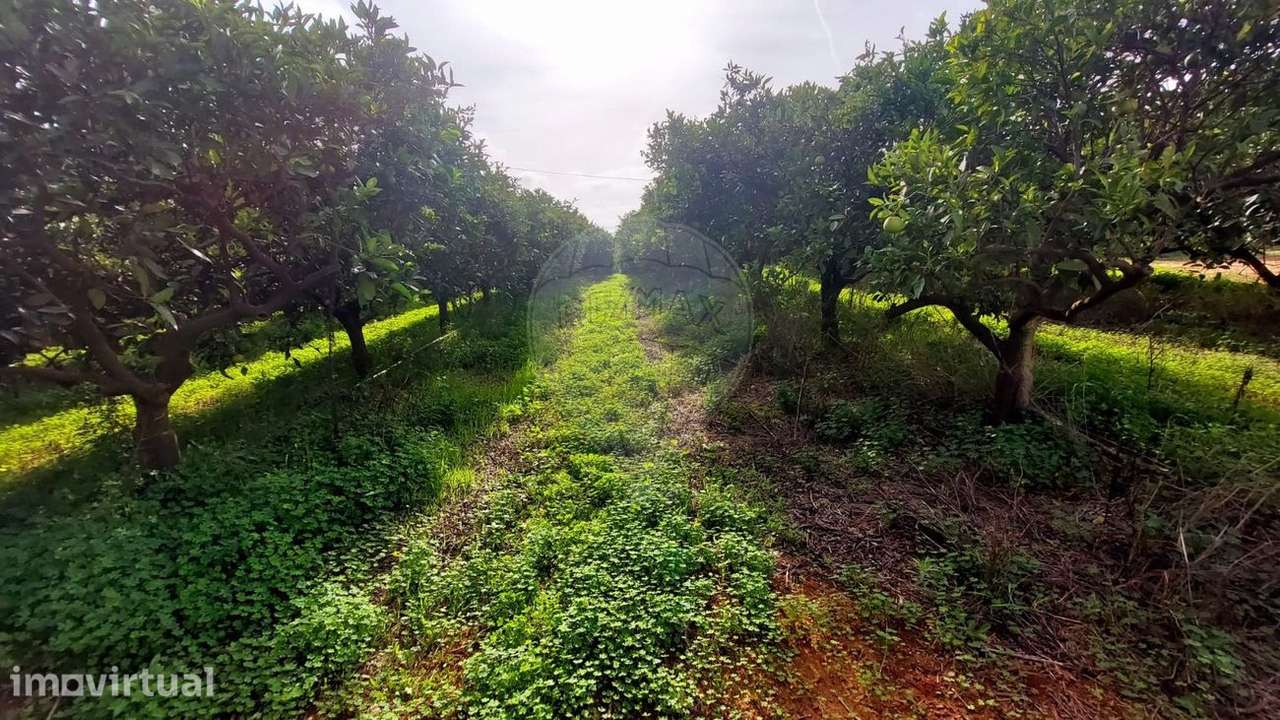 Terreno  para venda - Grande imagem: 4/7