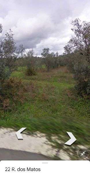 Terreno com 1017 m2 - Grande imagem: 2/2