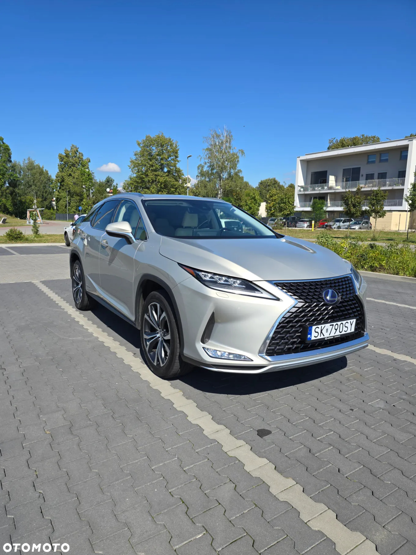 Lexus RX - 3