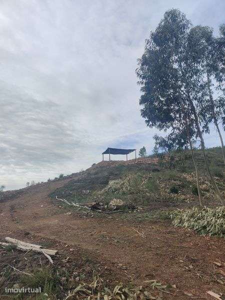 Terreno Rústico 5000m2 - Grande imagem: 2/5