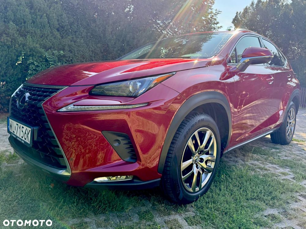 Lexus NX 300 Comfort AWD - 2