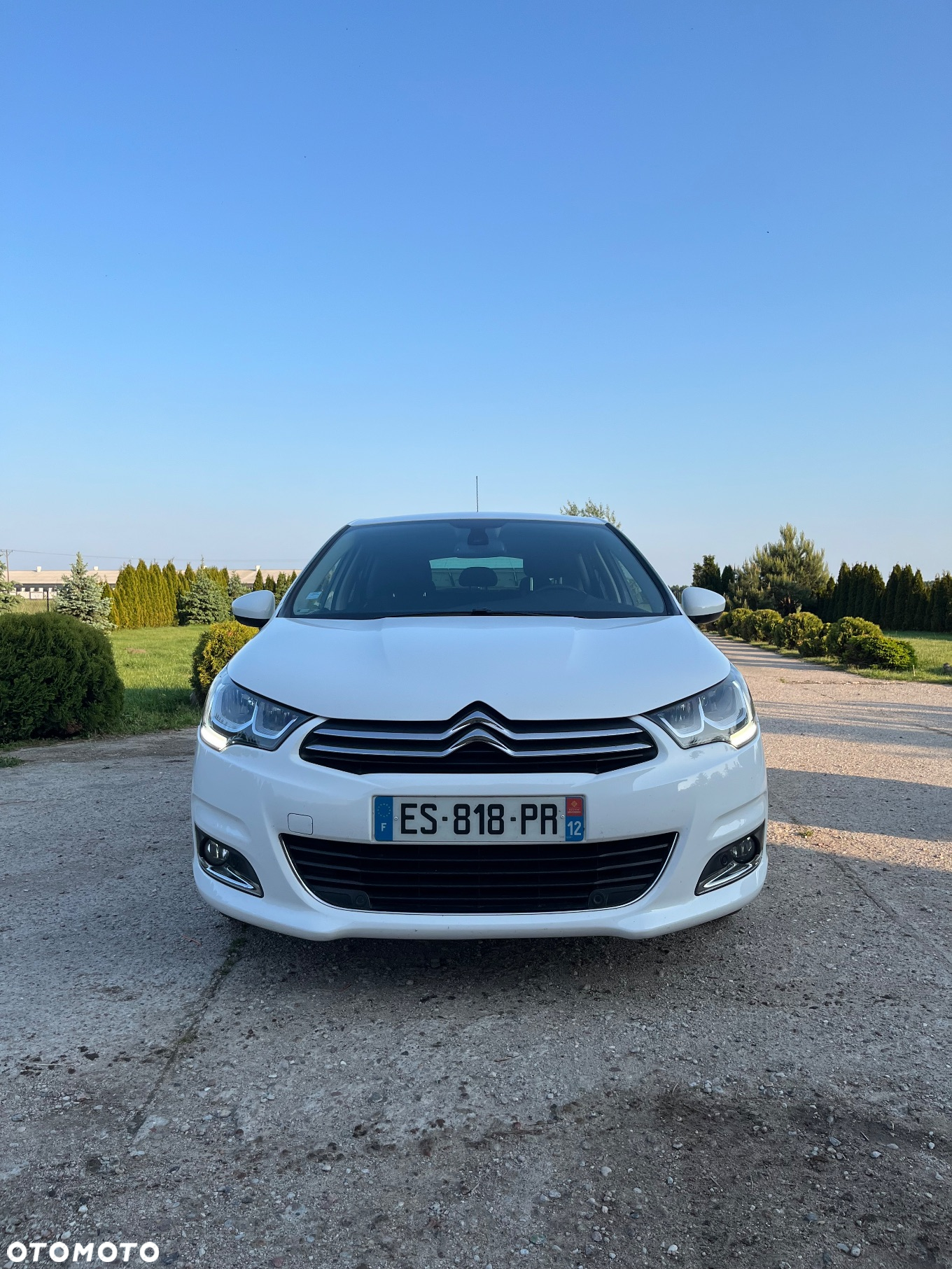Citroën C4 1.6 BlueHDi Shine S&S - 3