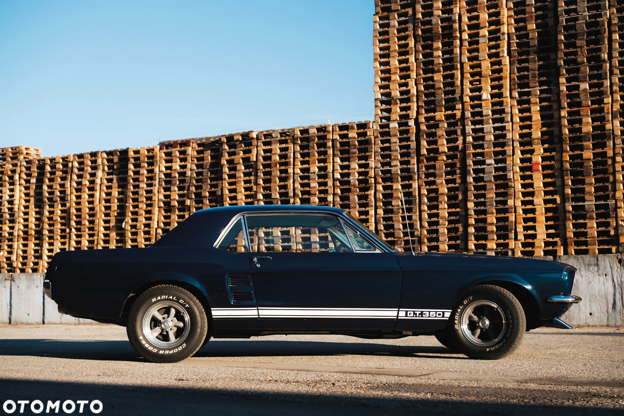 Ford Mustang - 9
