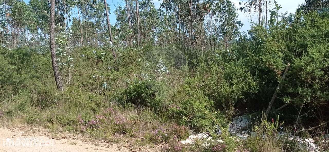 Terreno  para venda - Grande imagem: 3/4