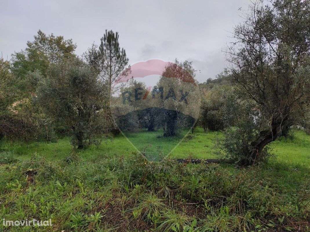 Terreno  para venda - Grande imagem: 3/3