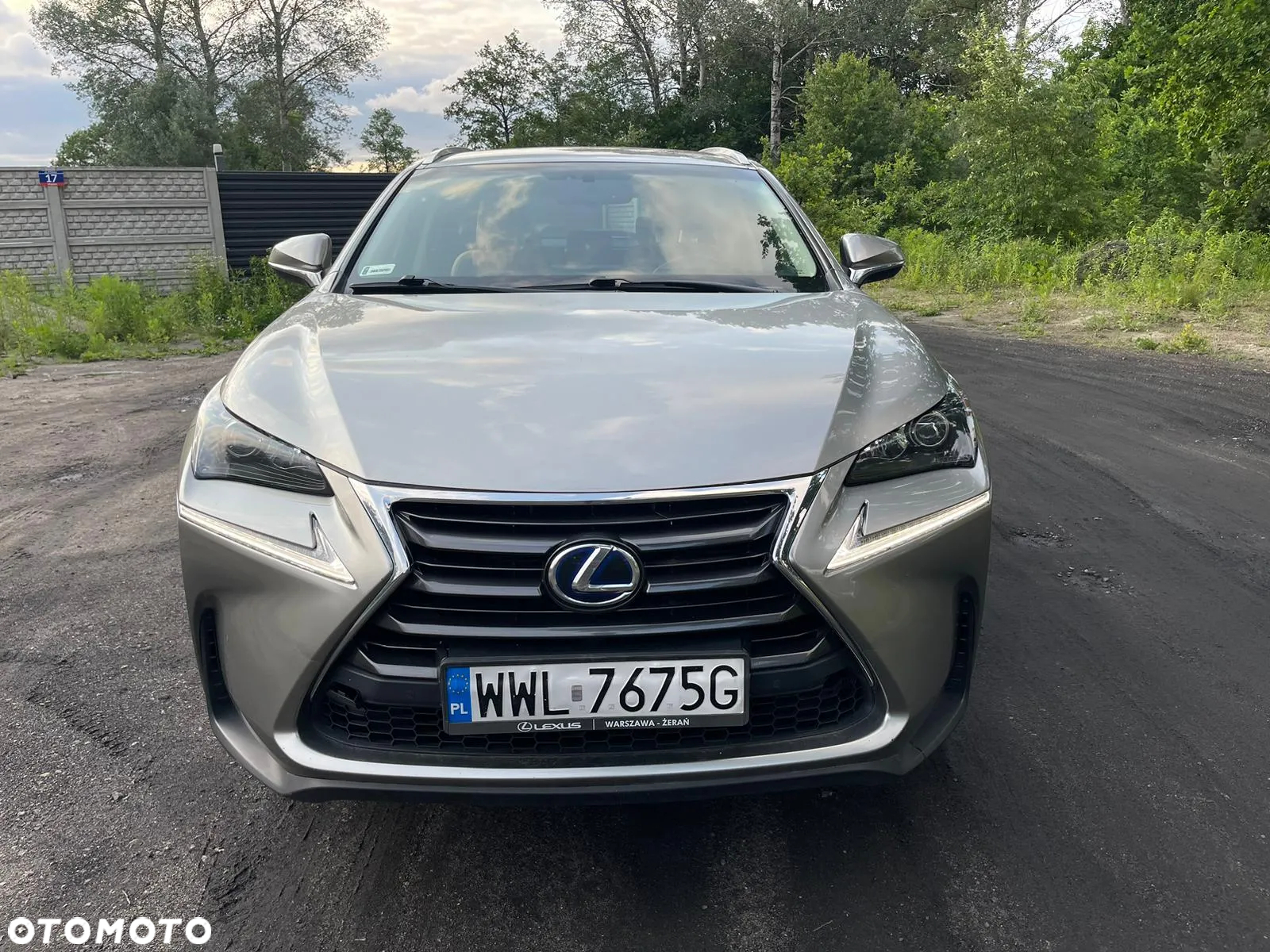Lexus NX 300h Elite AWD - 9
