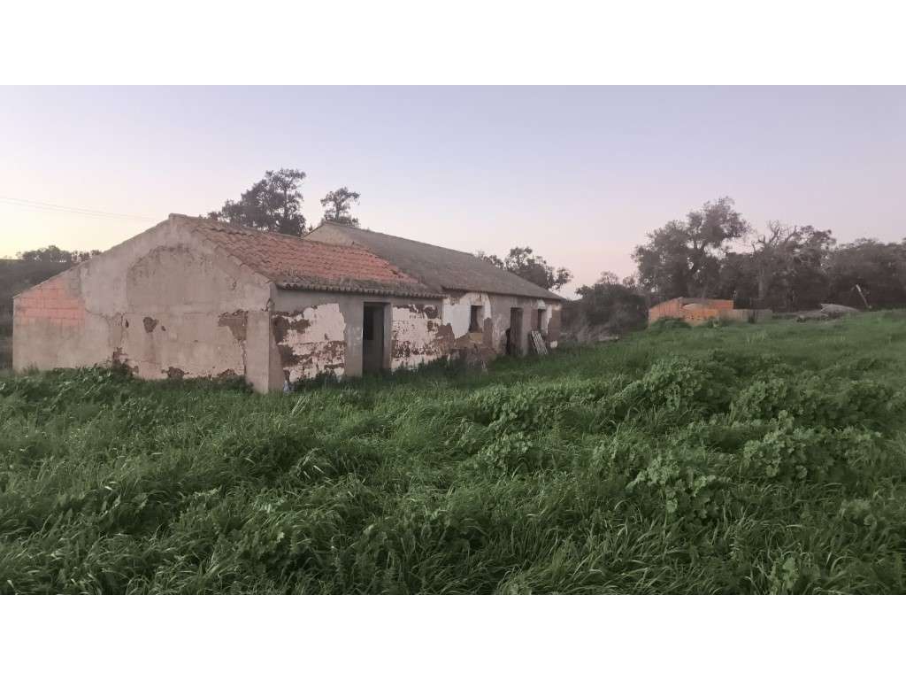 QUINTA (54.409m2) - Grande imagem: 2/14