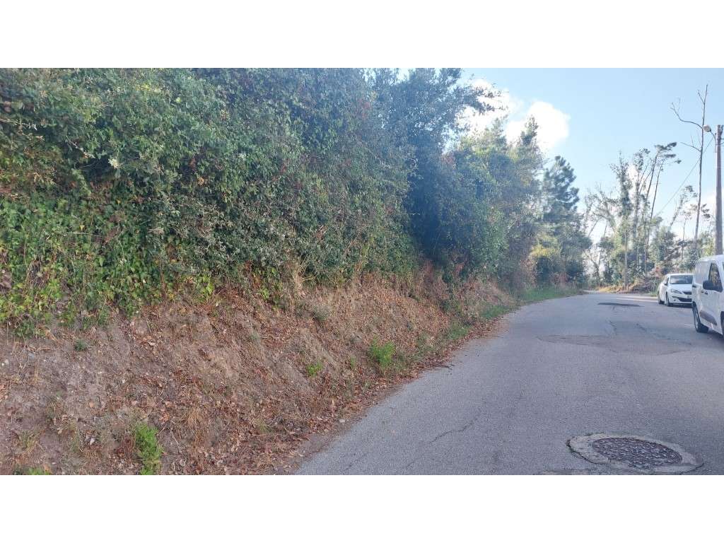 Terreno com 3 frentes de estrada em Monte Real - Grande imagem: 4/29