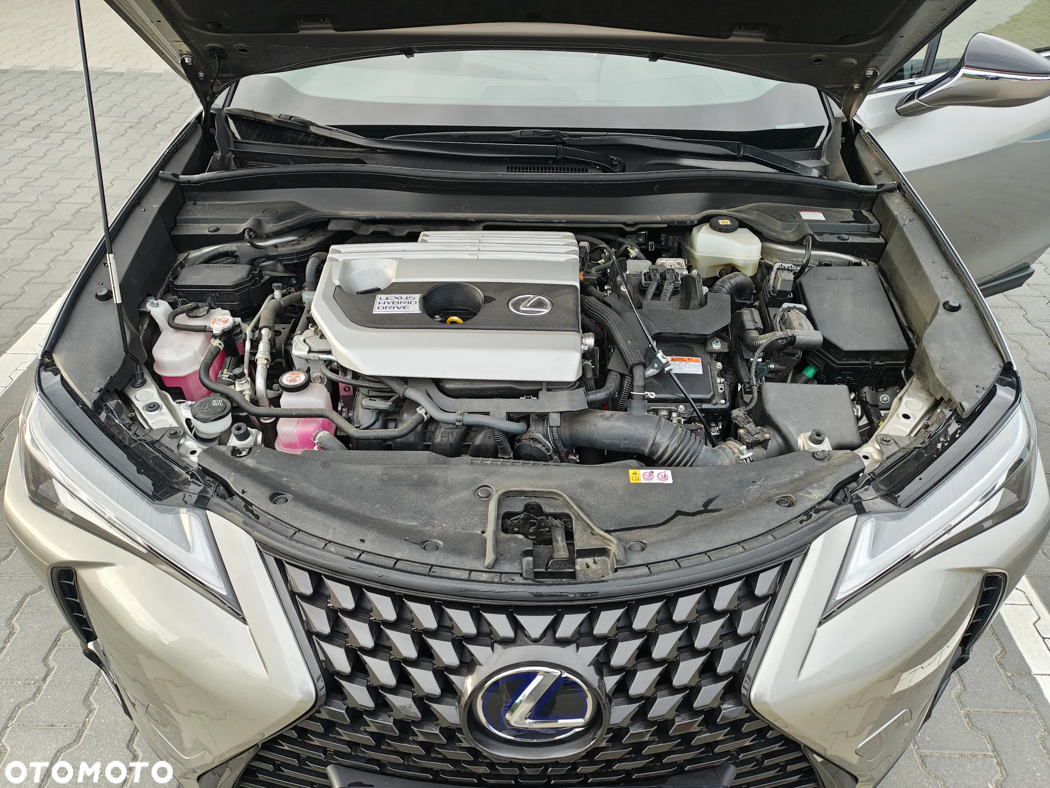 Lexus UX 250h GPF Business Edition 2WD - 16