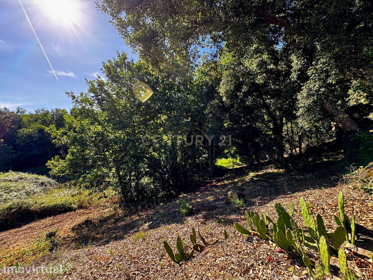 Bosque com 2,65 Hectares para Projeto Turístico ou Residência Rural em - Grande imagem: 2/20
