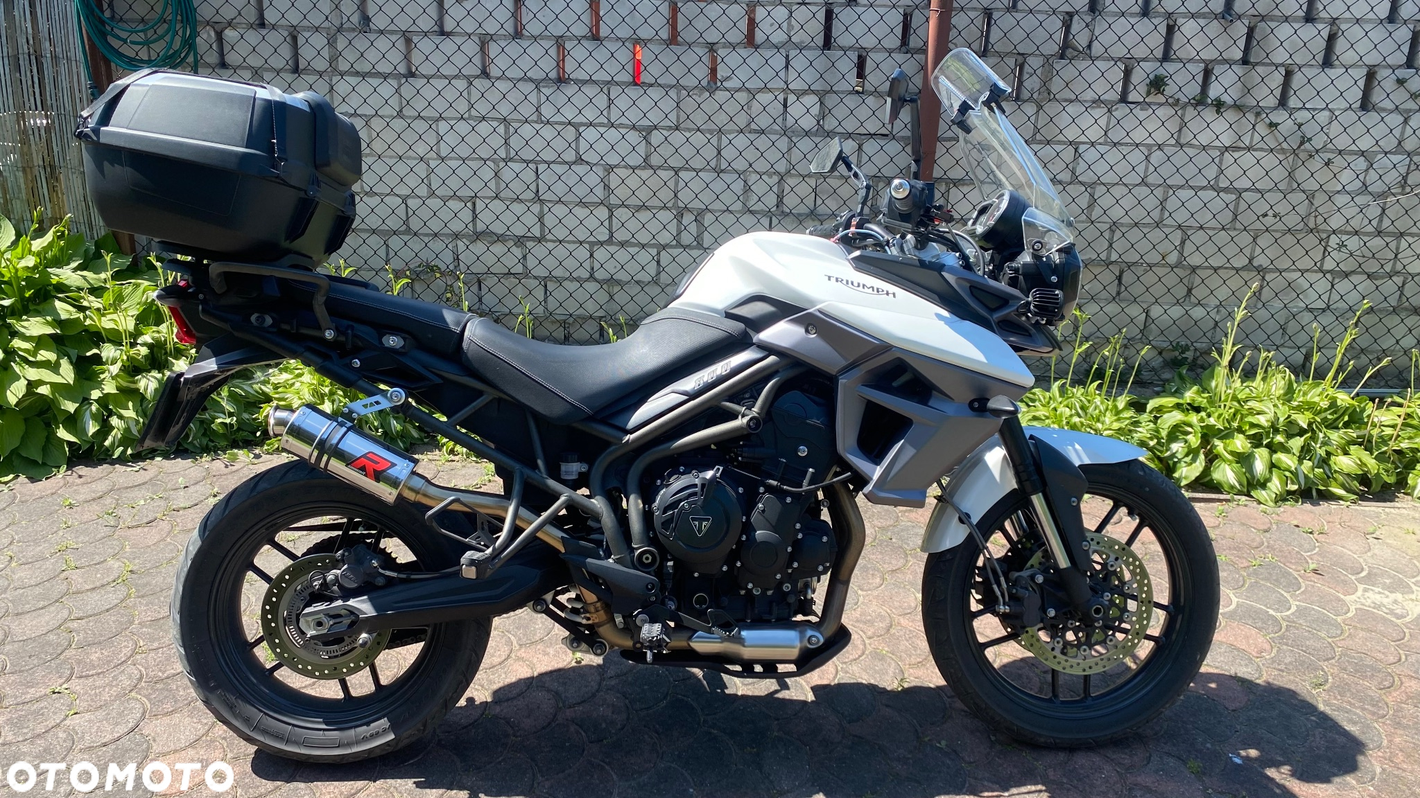 Triumph Tiger - 2